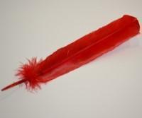 Red Turkey Feather